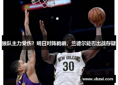 狼队主力受伤？明日对阵鹈鹕，兰德尔能否出战存疑